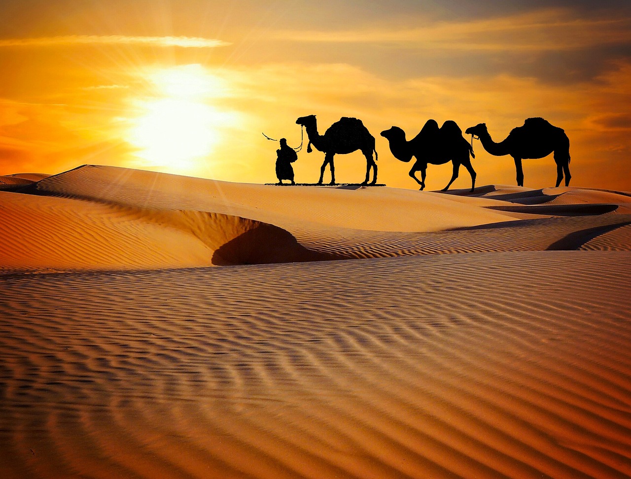 Rajasthan Tourism destination