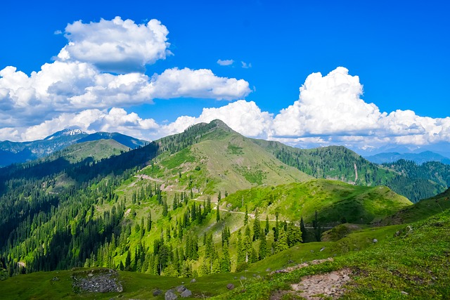 7 Nights 8 days honeymoon tour in Himachal Pradesh photo – Himachal Pradesh holiday, DialForHolidays